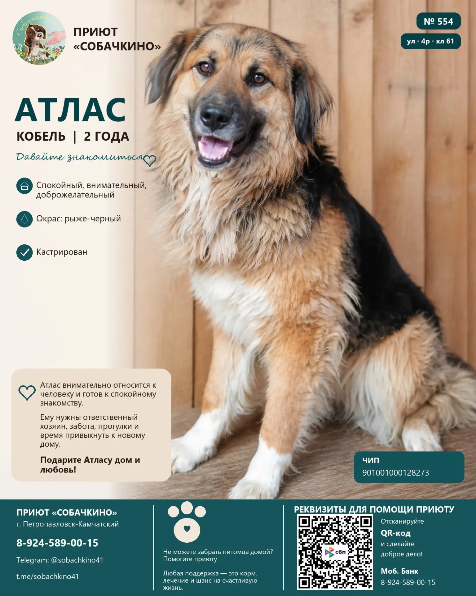 АТЛАС ИЩЕТ ДОМ ❤️