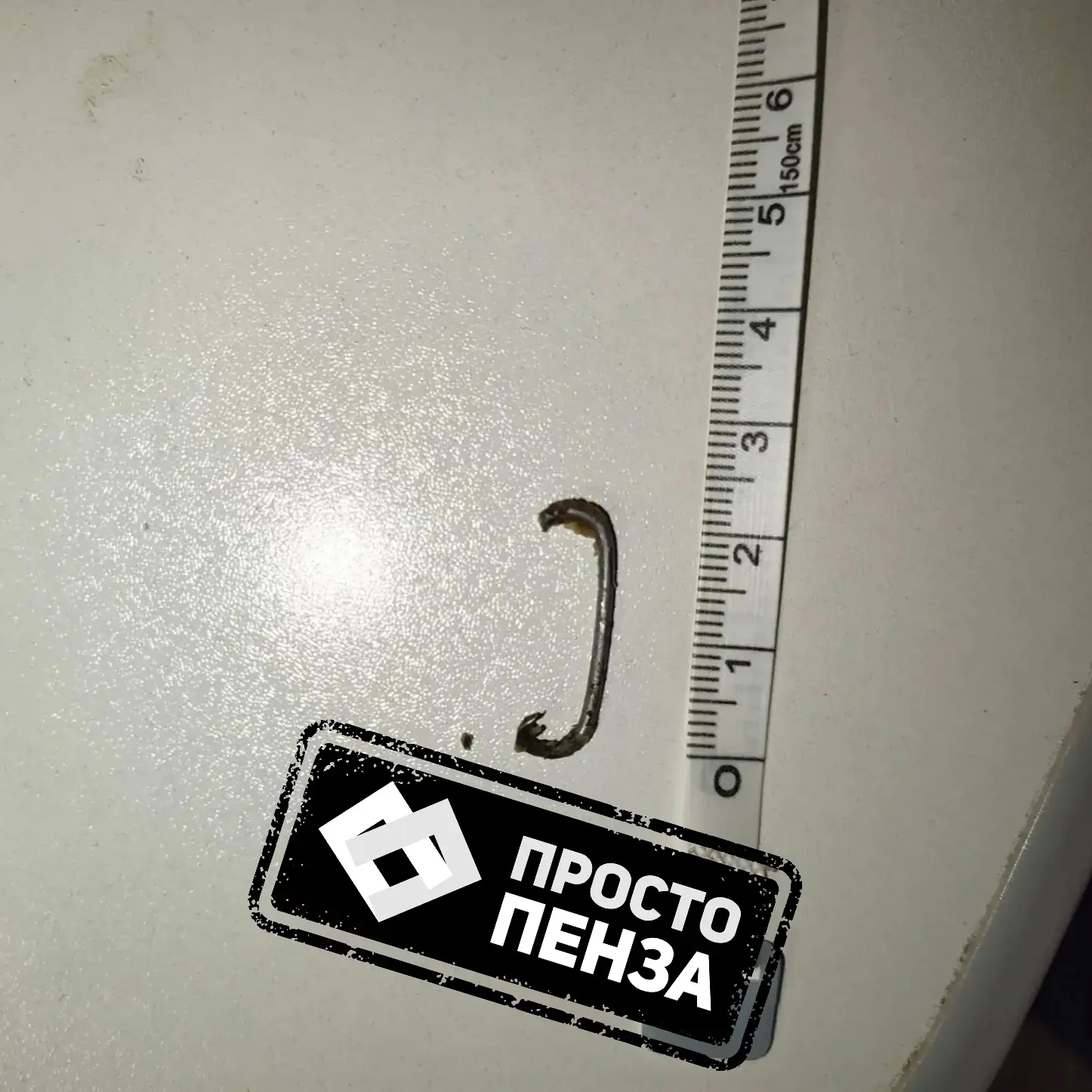 Неожиданная "начинка" в виде куска проволоки попалась пензячке в пряниках купленных в "...