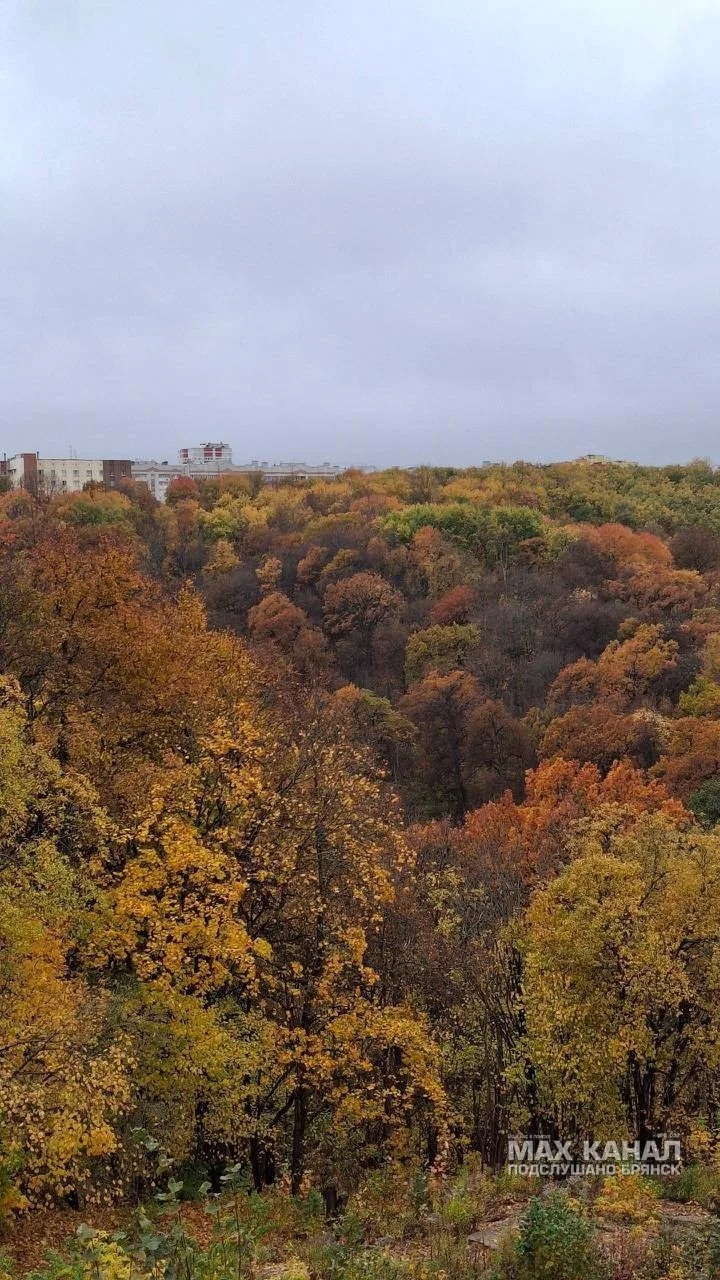 🍁 Осенняя пора в Соловьях