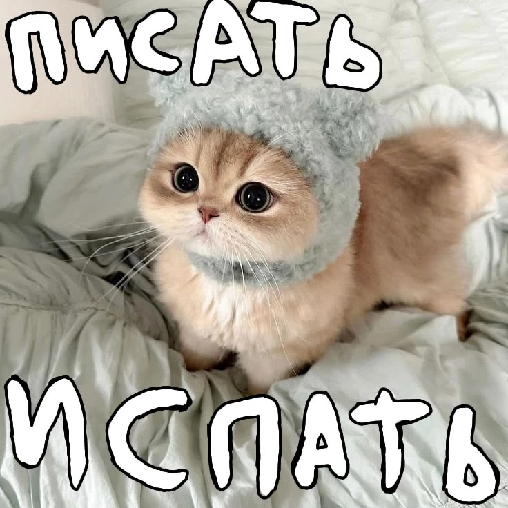 🐾 Когда даже котик напоминает о важном