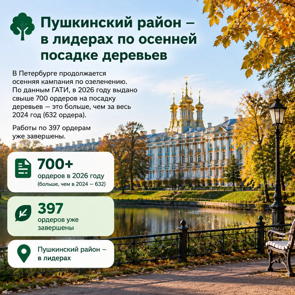 🌳 Пушкинский район — в лидерах по осенней посадке деревьев