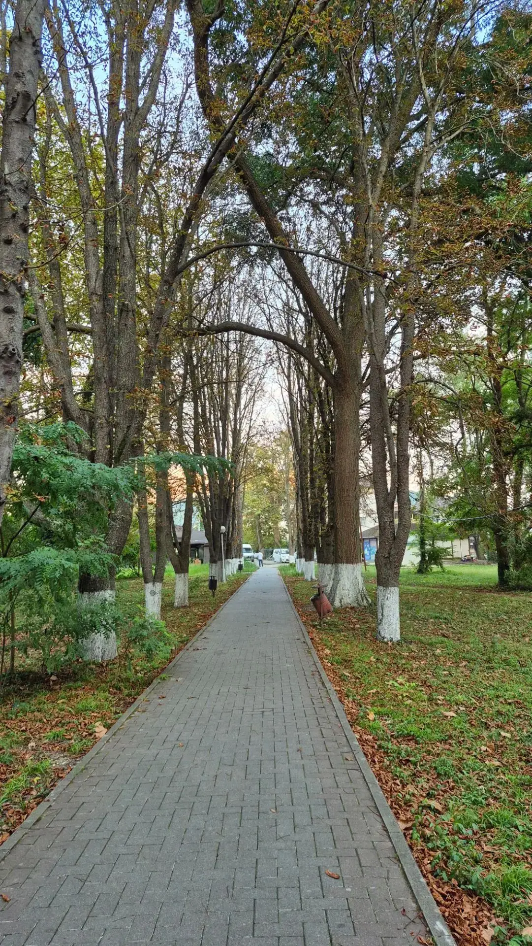 Архипо-Осиповка сентябрь 2026 года 🌿 Фото: Лилия
