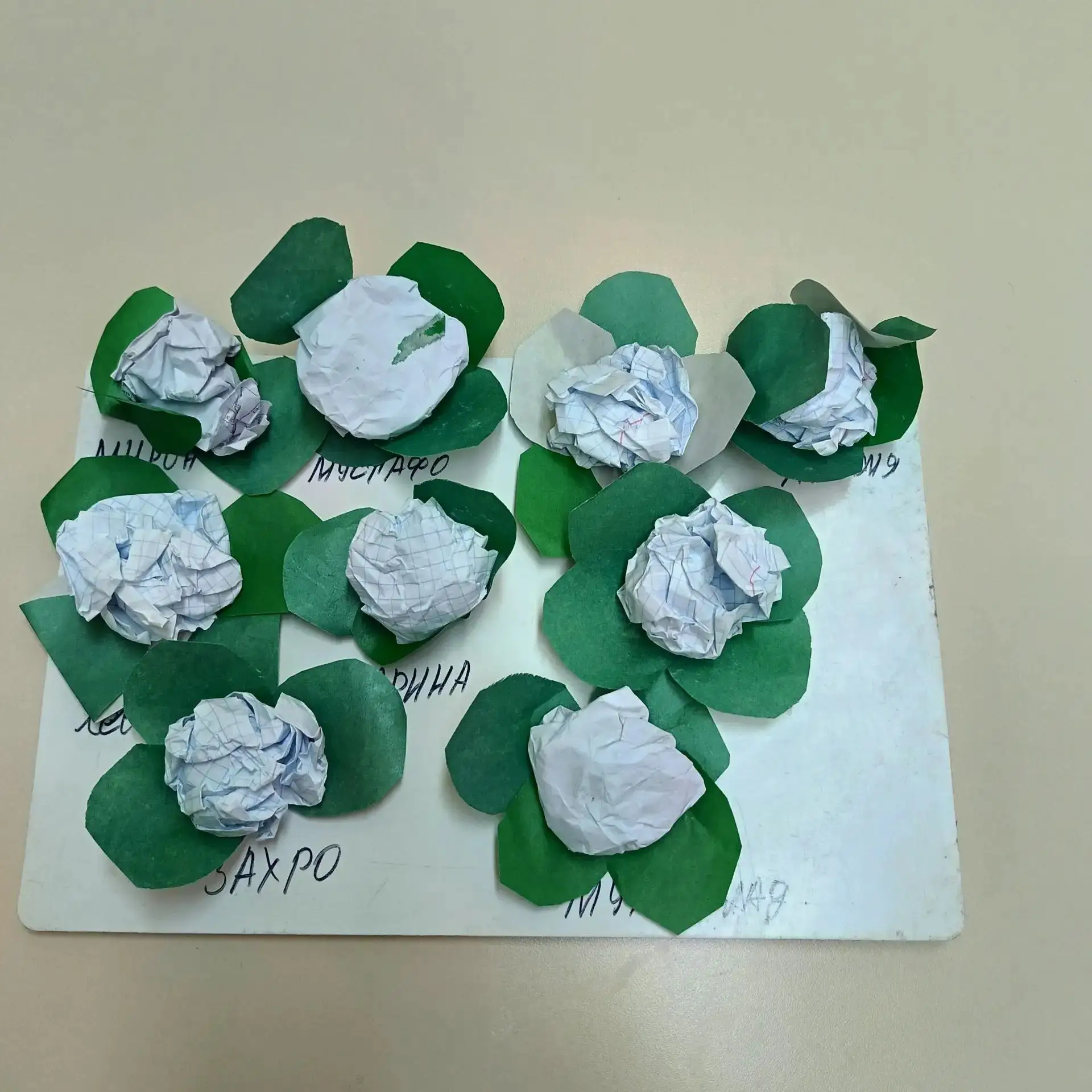 Конструирование модульное с натуры. Как цветная капуста 🥬 росла и выросла.