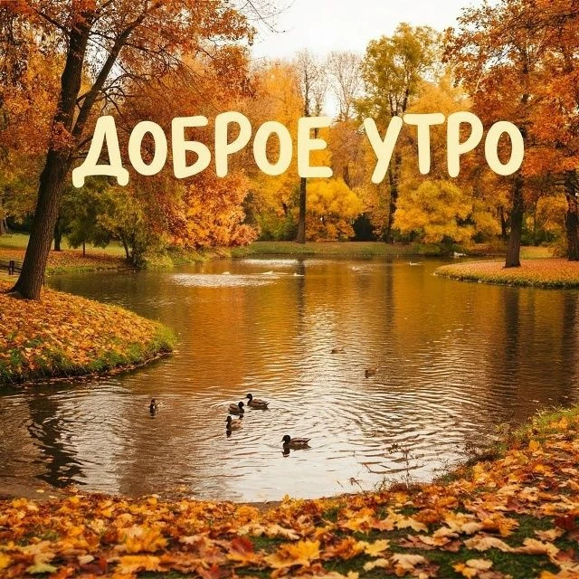 🌞Доброе утро!