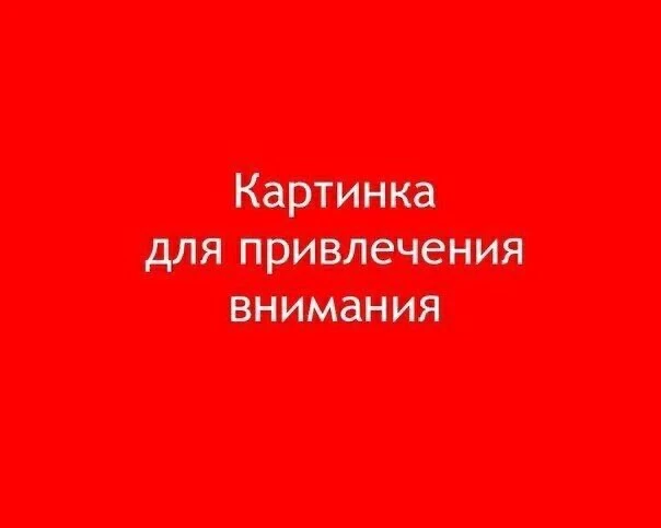Друзья, нужна ваша помощь ❗️