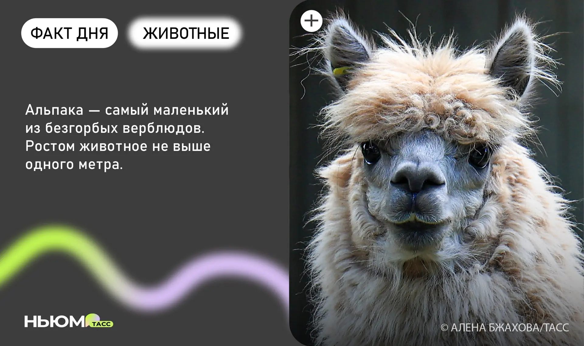 Знали?