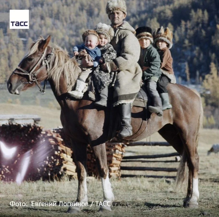 #архив_ТАСС_Сибирь