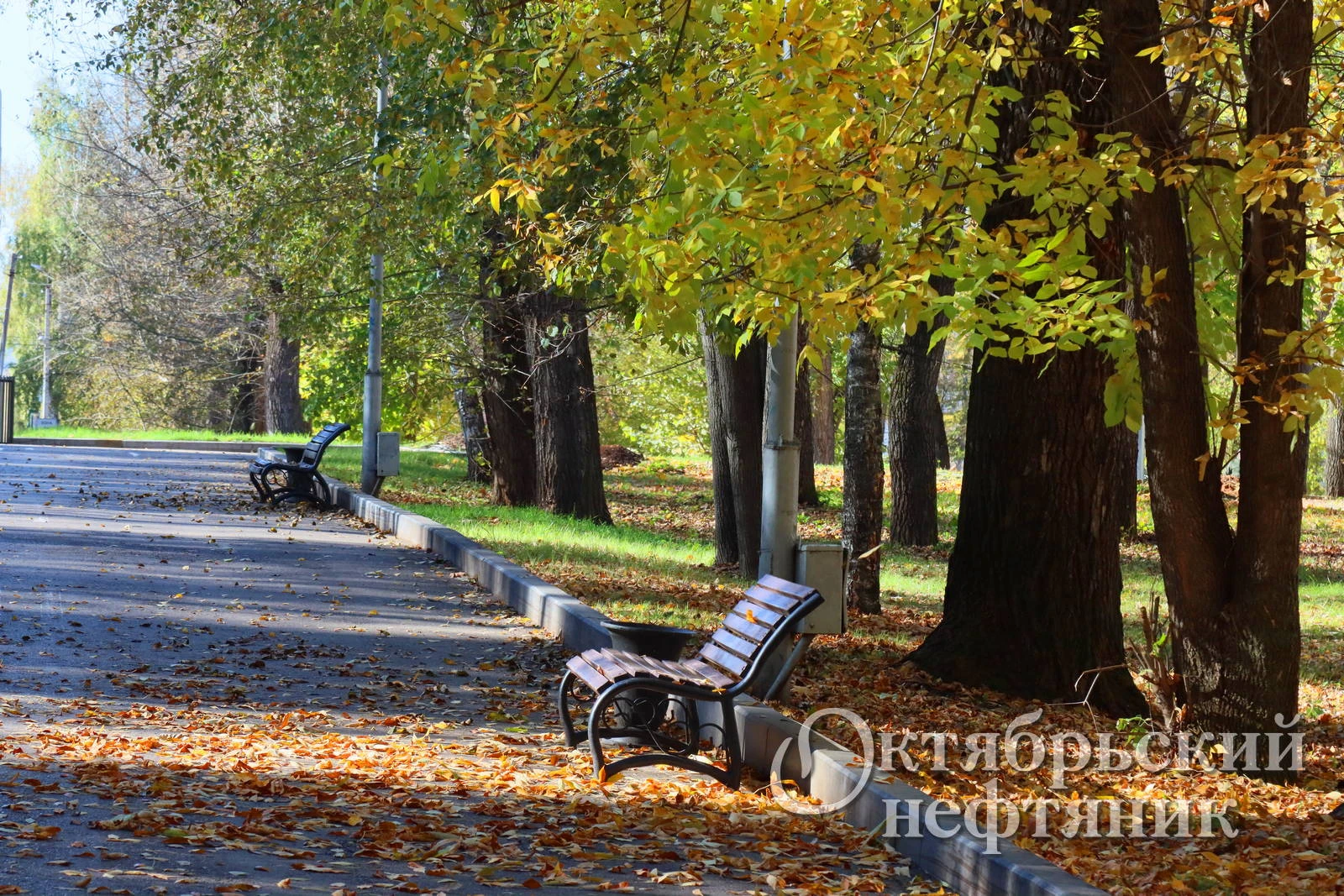 ☀️ День Республики в Башкирии будет тёплым