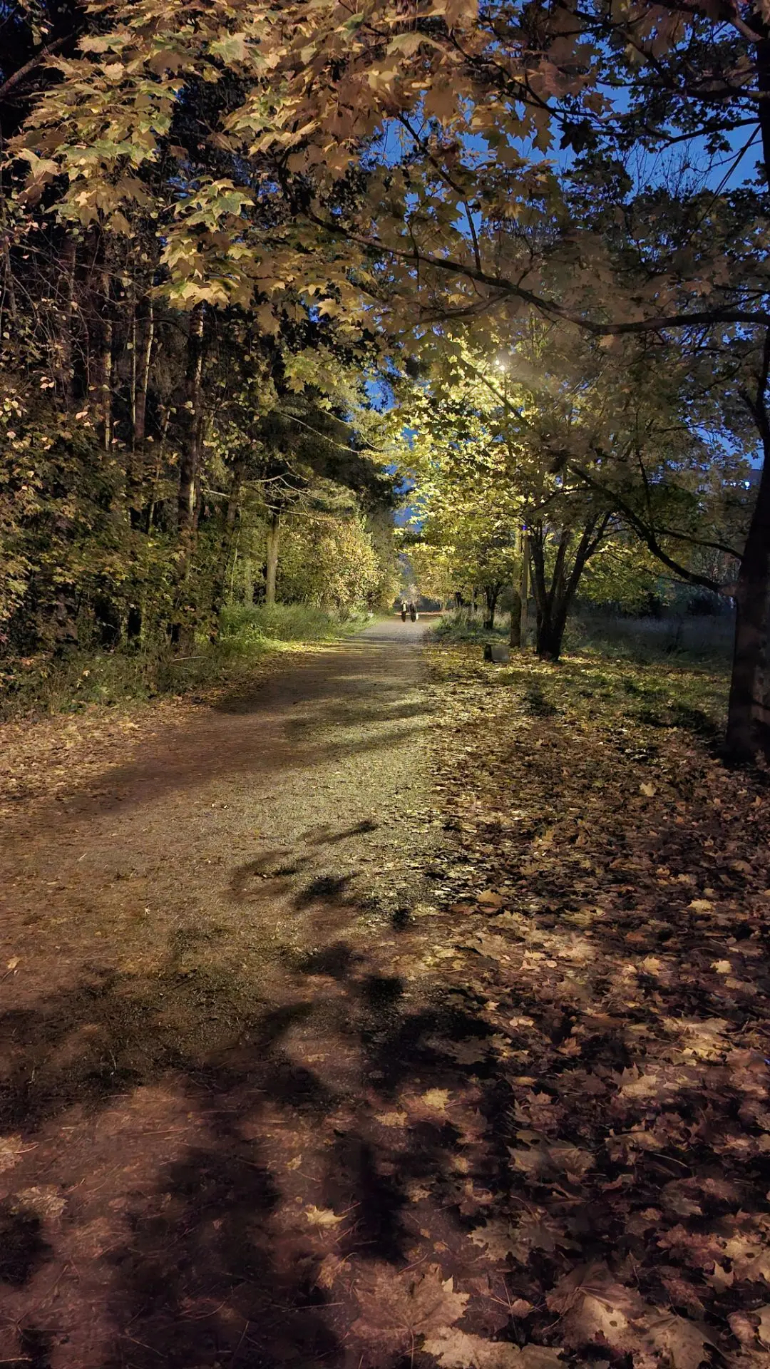 Улица, фонарь.....