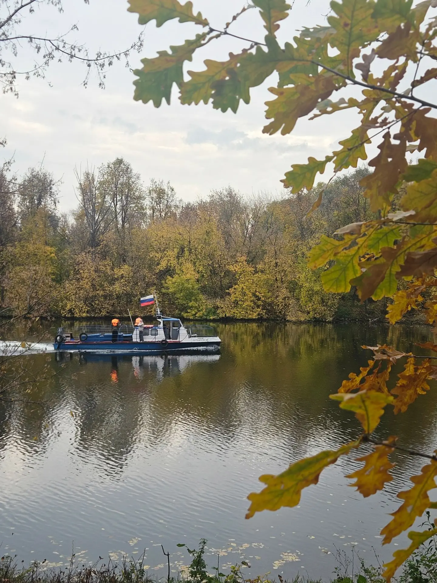 ПРИВЕТИКИ