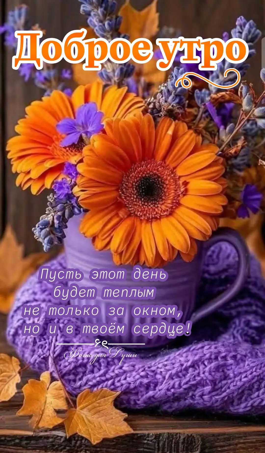 ДОБРОЕ  УТРО  ПОНЕДЕЛЬНИКА