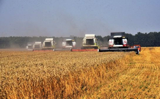 Новосибирская область вошла в топ-10 экспортеров продукции АПК
