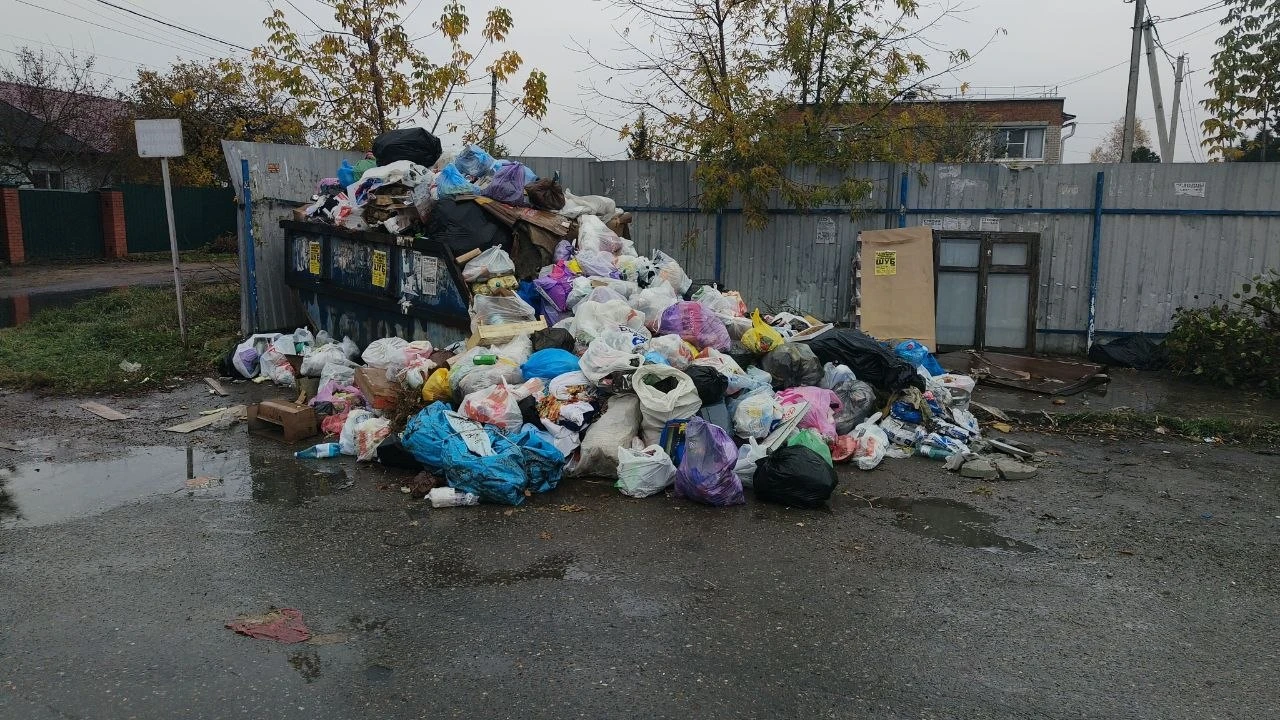 Совхоз «Боровский» снова утопает в мусоре