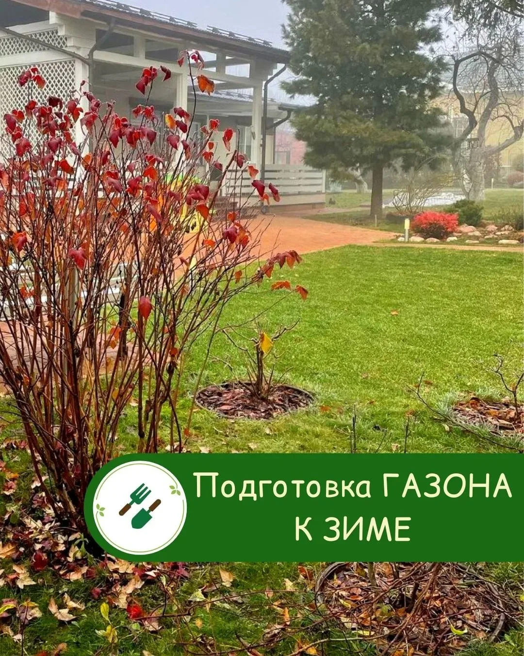 🍂 Осенний уход за газоном: готовим лужайку к зиме