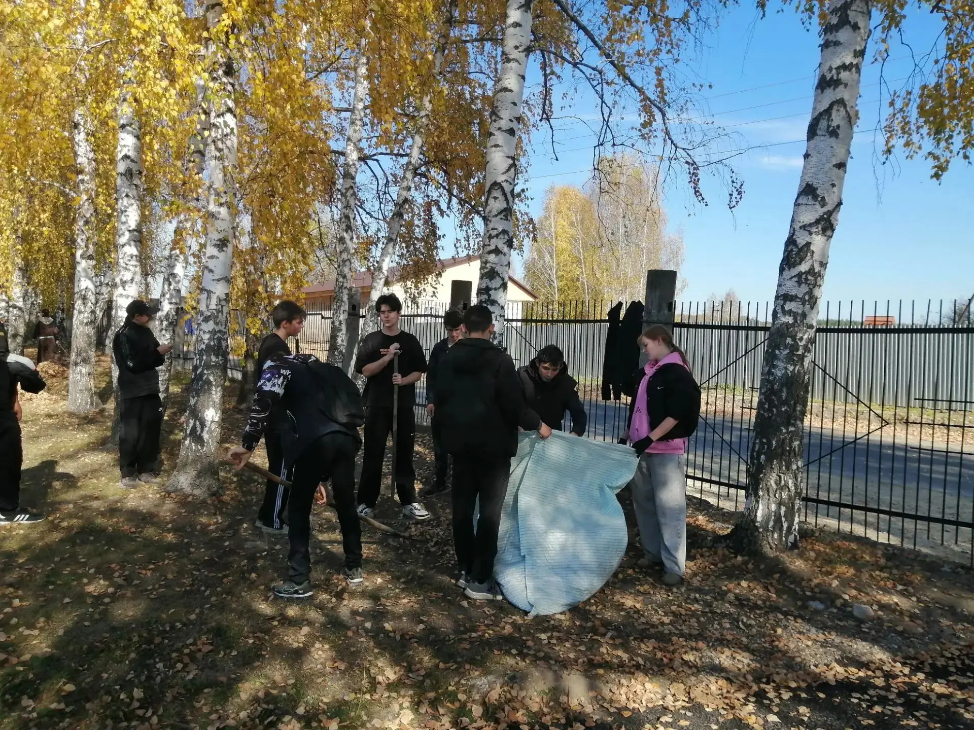 Школьная семья в действии.