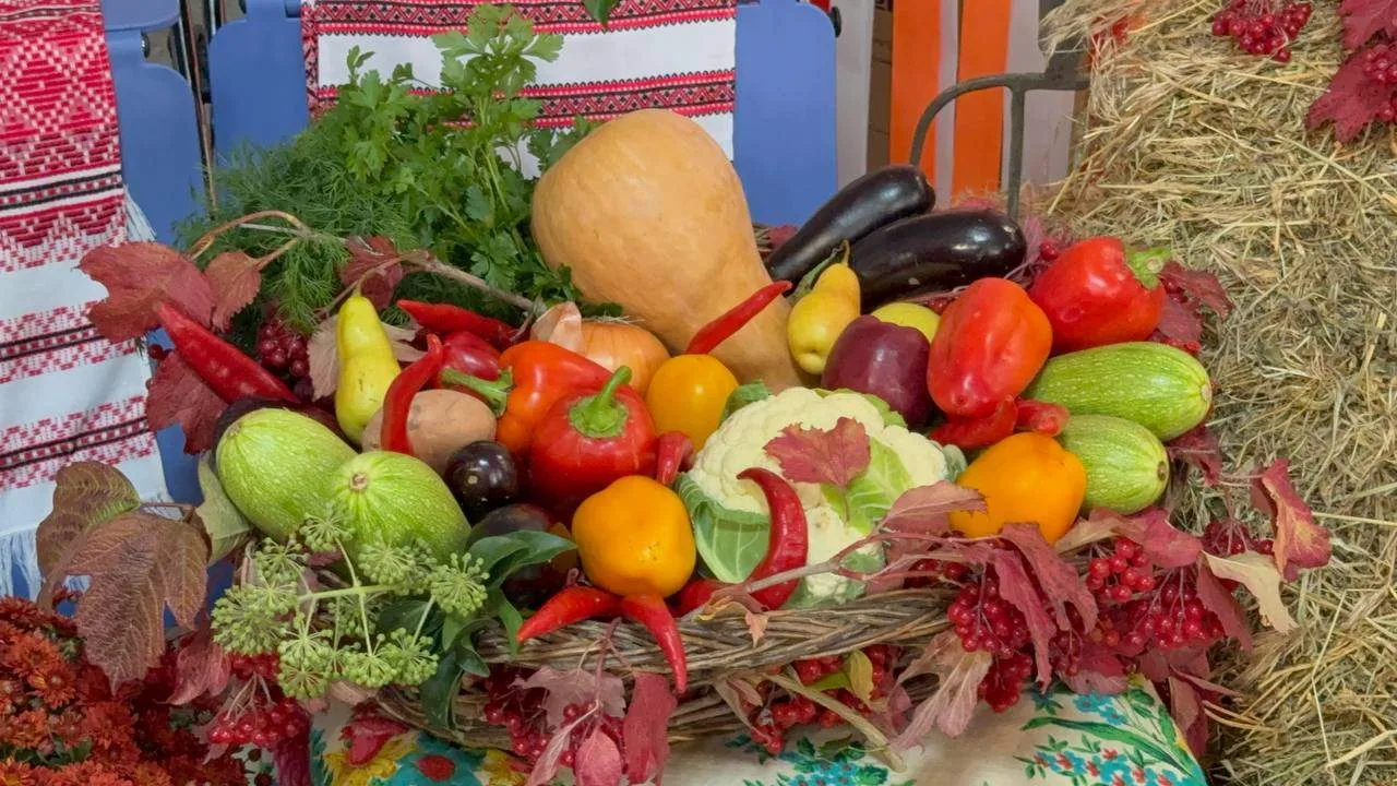 Чтобы урожай был, одной хорошей земли недостаточно 🌾🚜