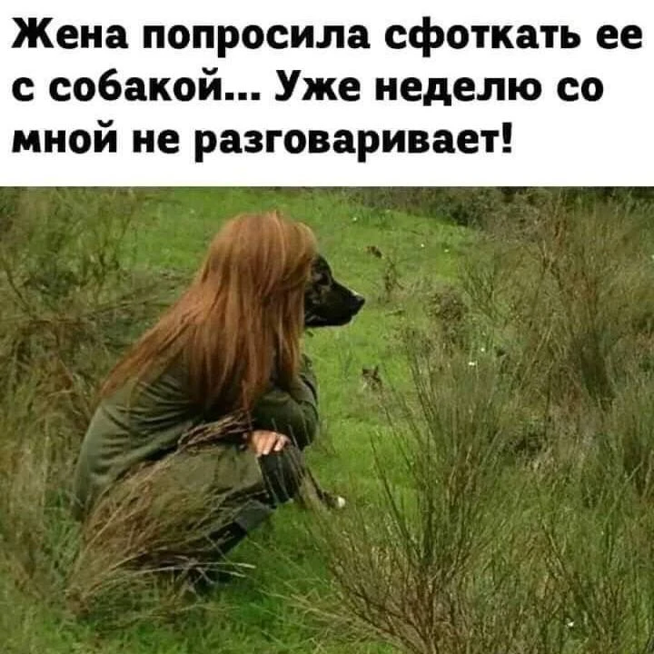 Юмор - Подписаться
