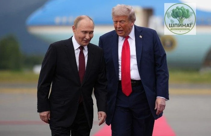 А теперь подробности: о чем же конкретно разговаривали и договаривались Путин и Трамп в...