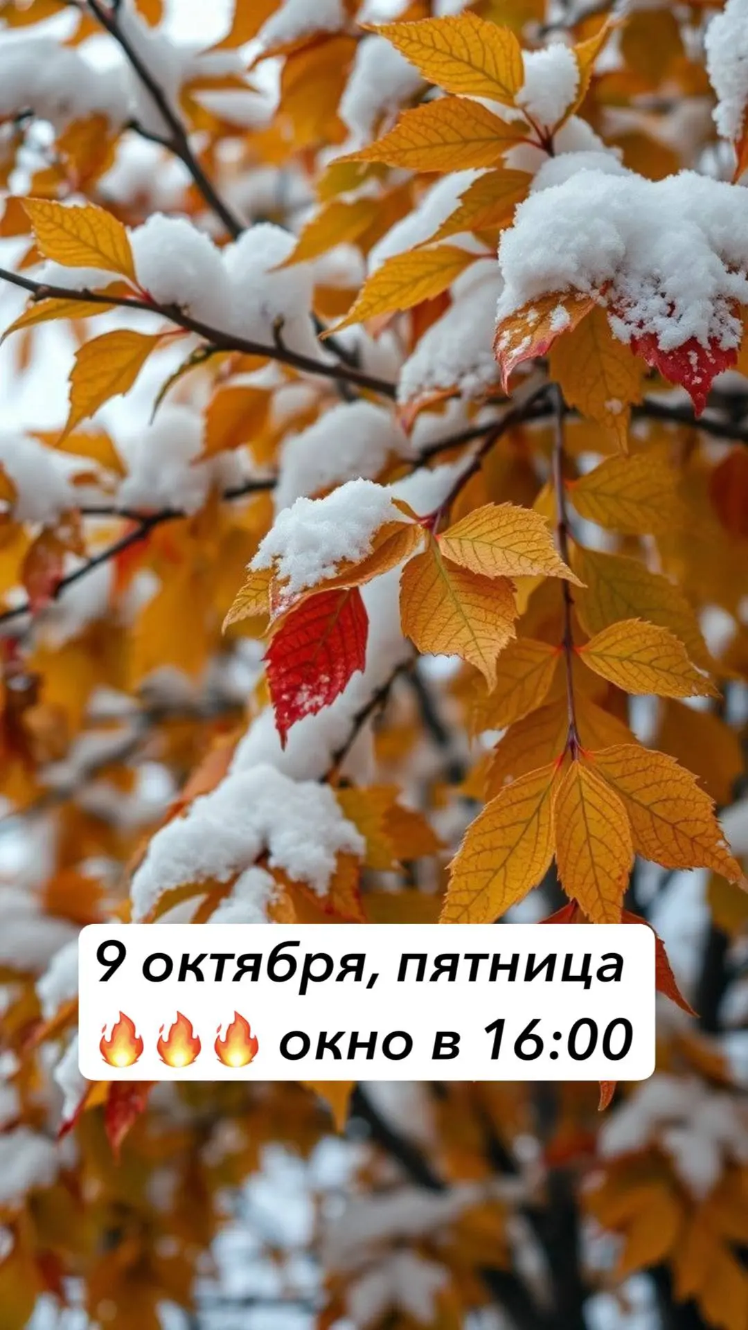 Последнее окошко на этой неделе‼️‼️‼️