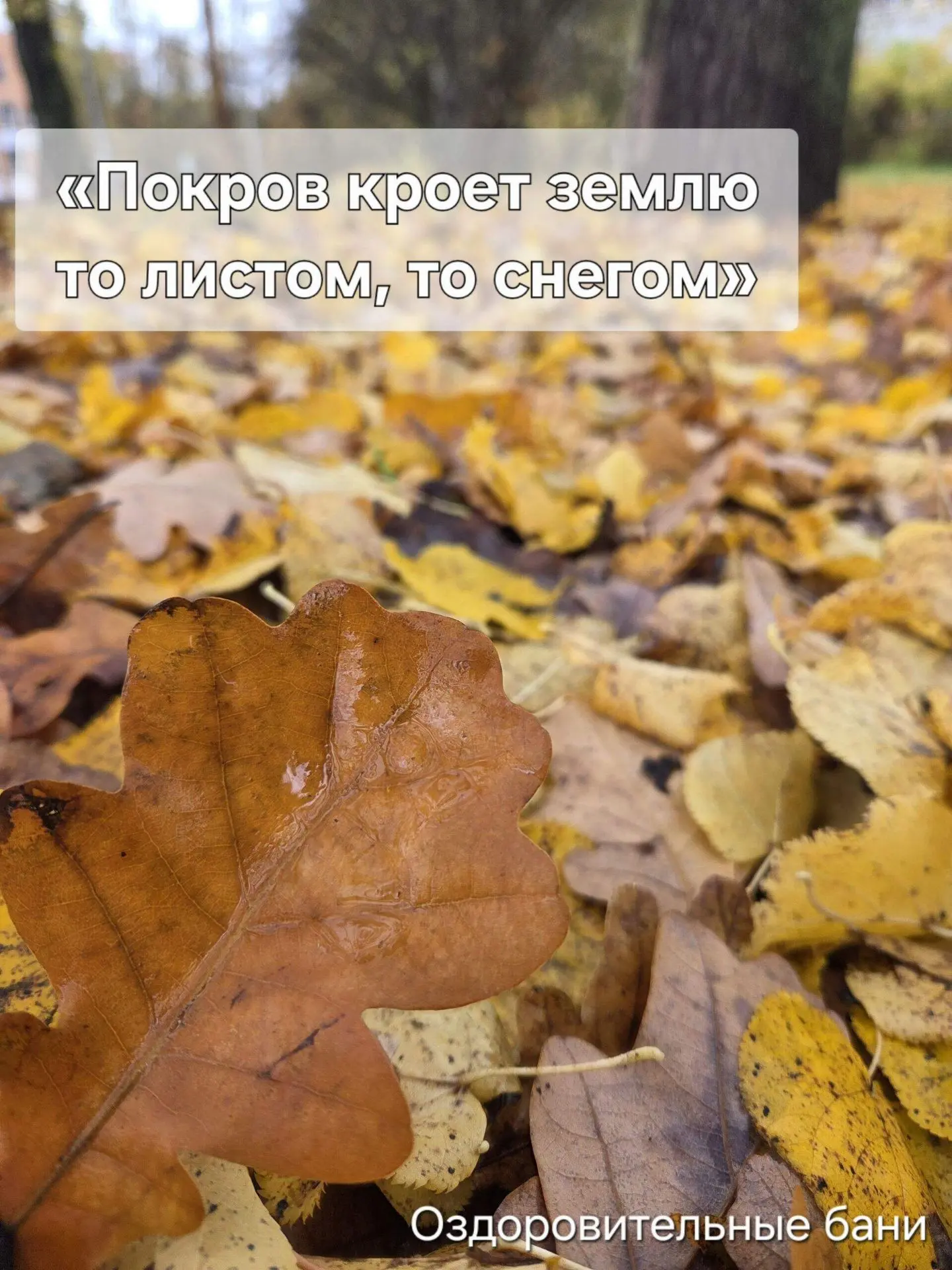 ПОКРОВ ПРЕСВЯТОЙ БОГОРОДИЦЫ