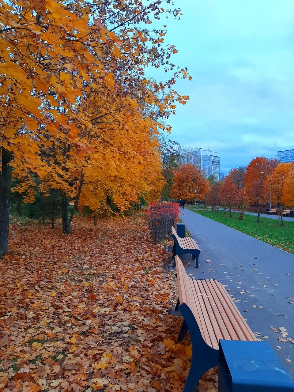 В парке Морской Славы 🍁🍁🍁