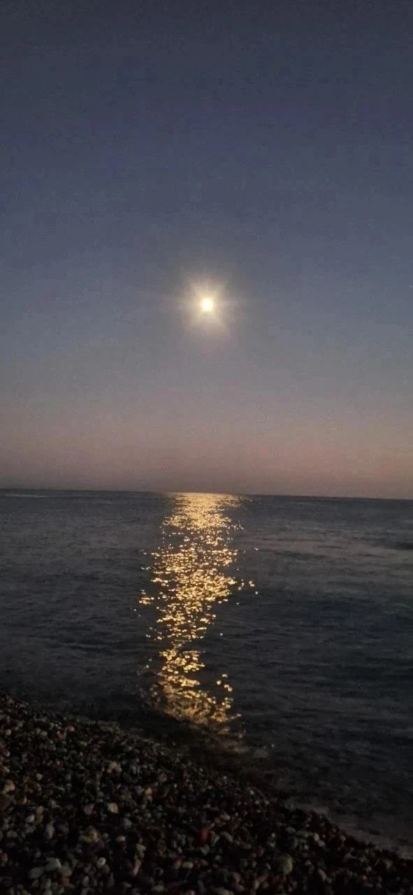 ✈️ У КОГО-ТО МАЛЬДИВЫ, А У МЕНЯ… СОЧИ. И это лучшее решение! 🏖️