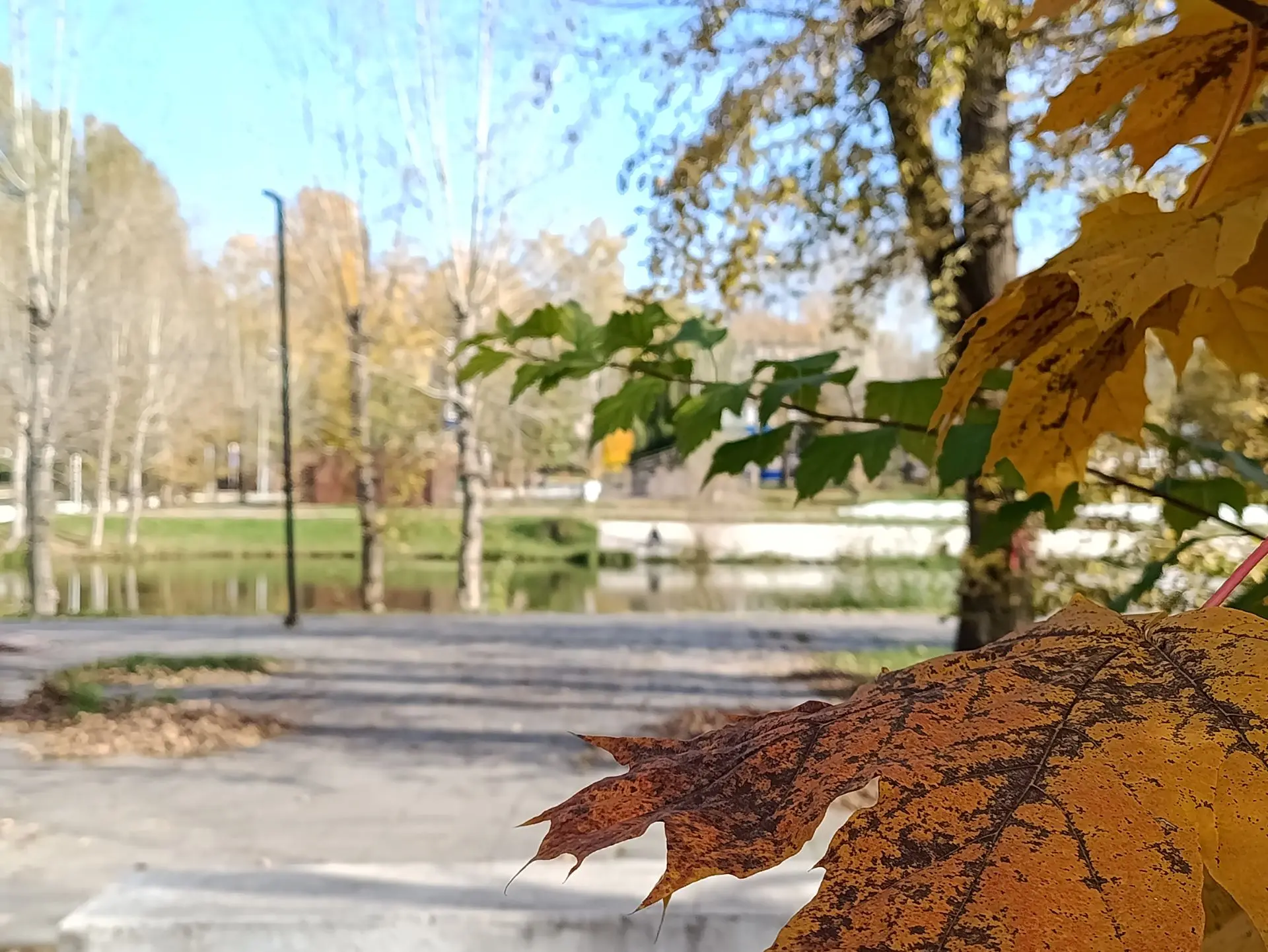 Доброе утро, дорогие жигулёвцы! ☀️🍂