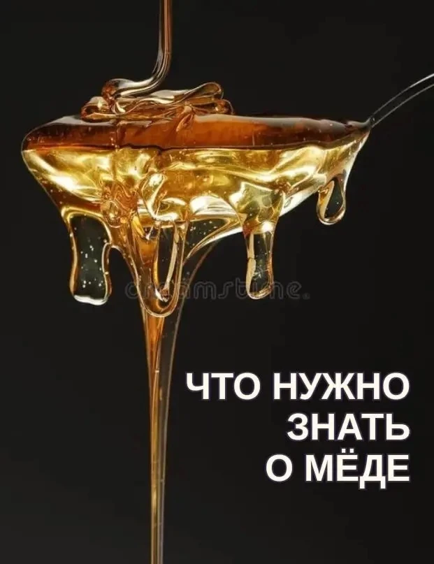 Мёд – один из самых противоречивых продуктов на нашем столе.