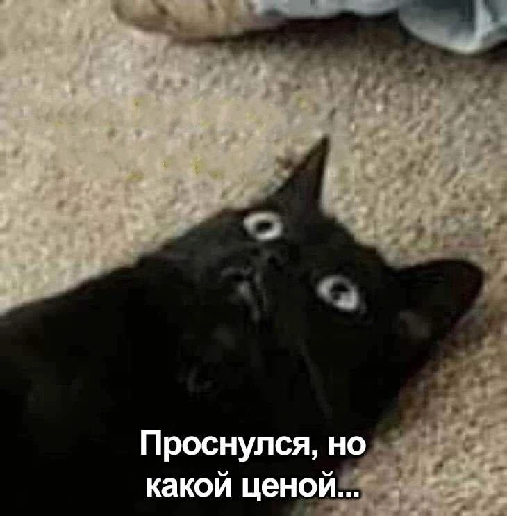 Мемы каждый день • Подписаться