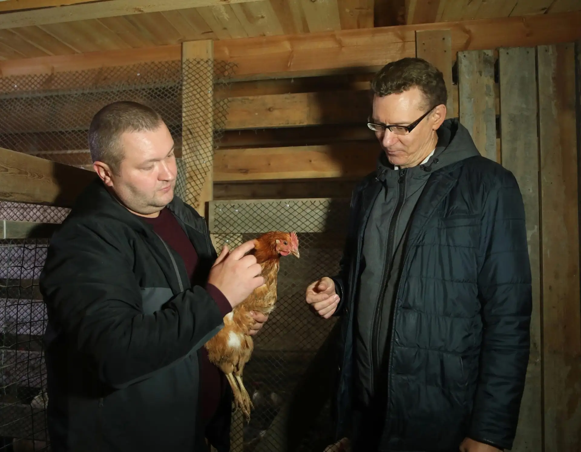 🐔 Питлярский фермер делает ставку на птицу
