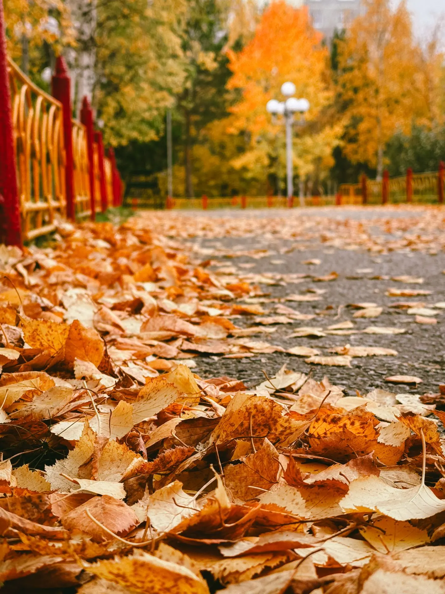 Доброе утро, Нижневартовский район! 🍂☕