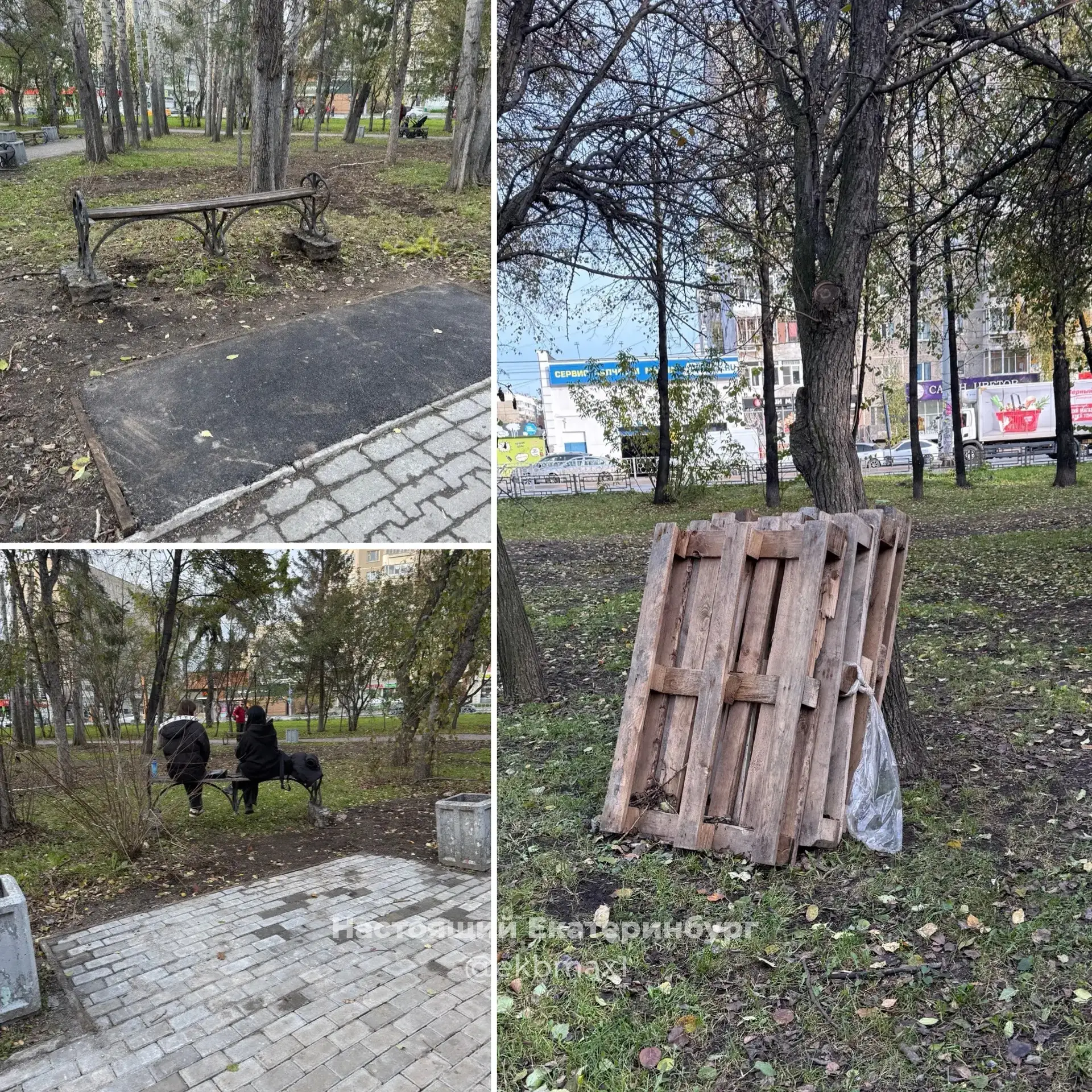 Фото из сквера ул Крауля-Викулова: скамейки стоят на газонах, а не вдоль дорожек на отв...
