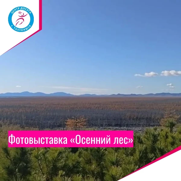 Фотовыставка «Осенний лес» 🍂