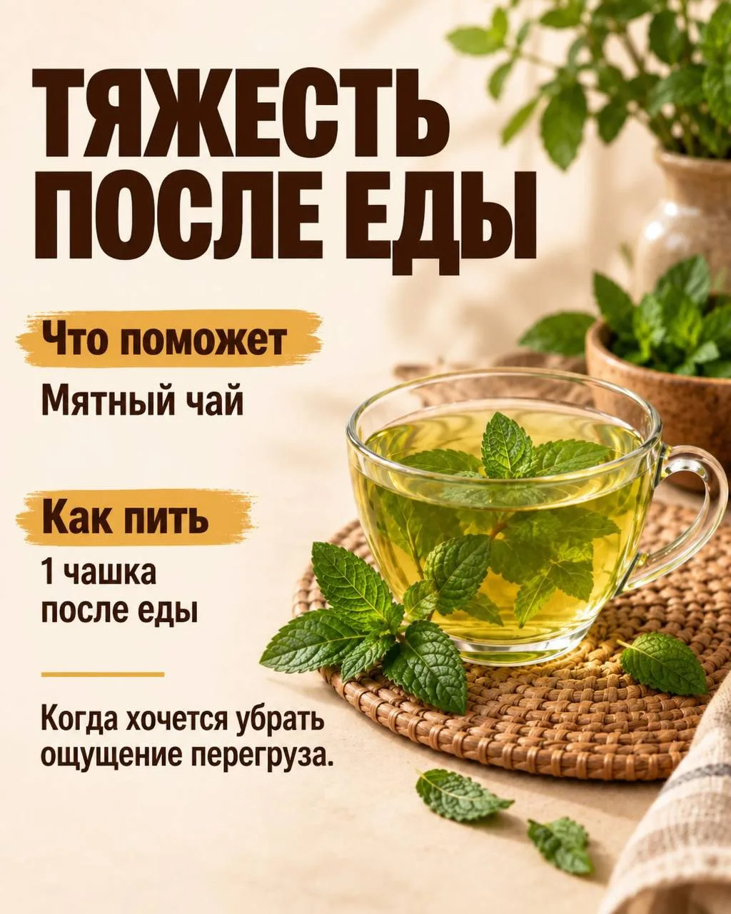 🍵 Что пить, если тело подает сигналы?