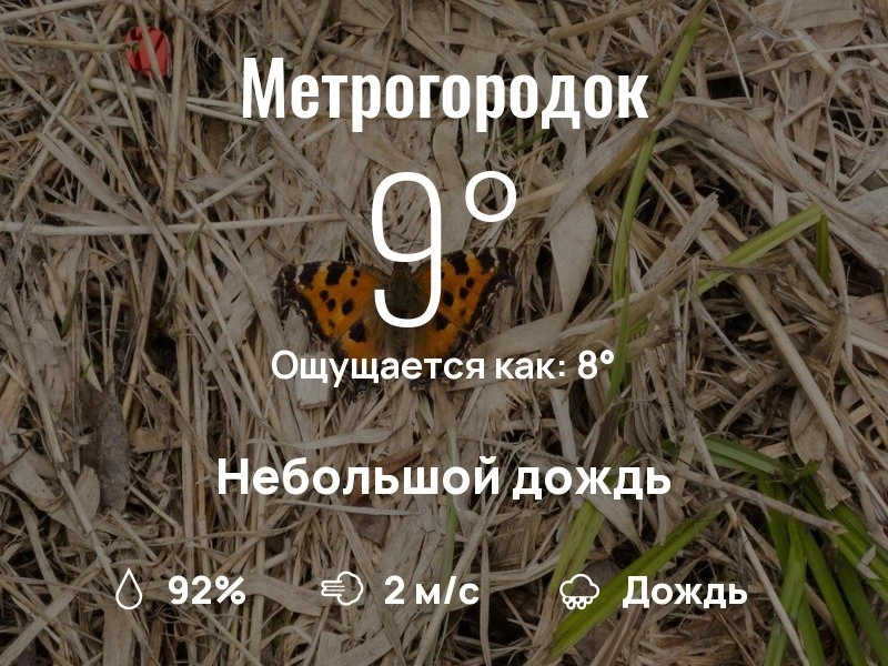 Что с погодой в Метрогородке?
