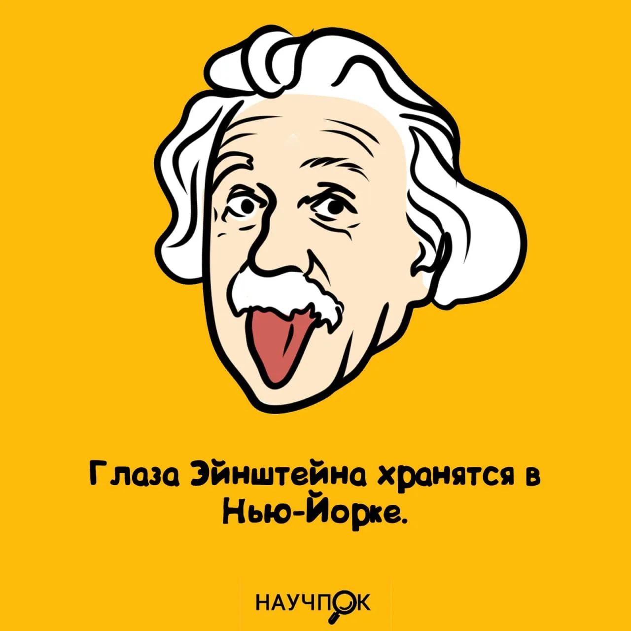 А вы знали? 🫣