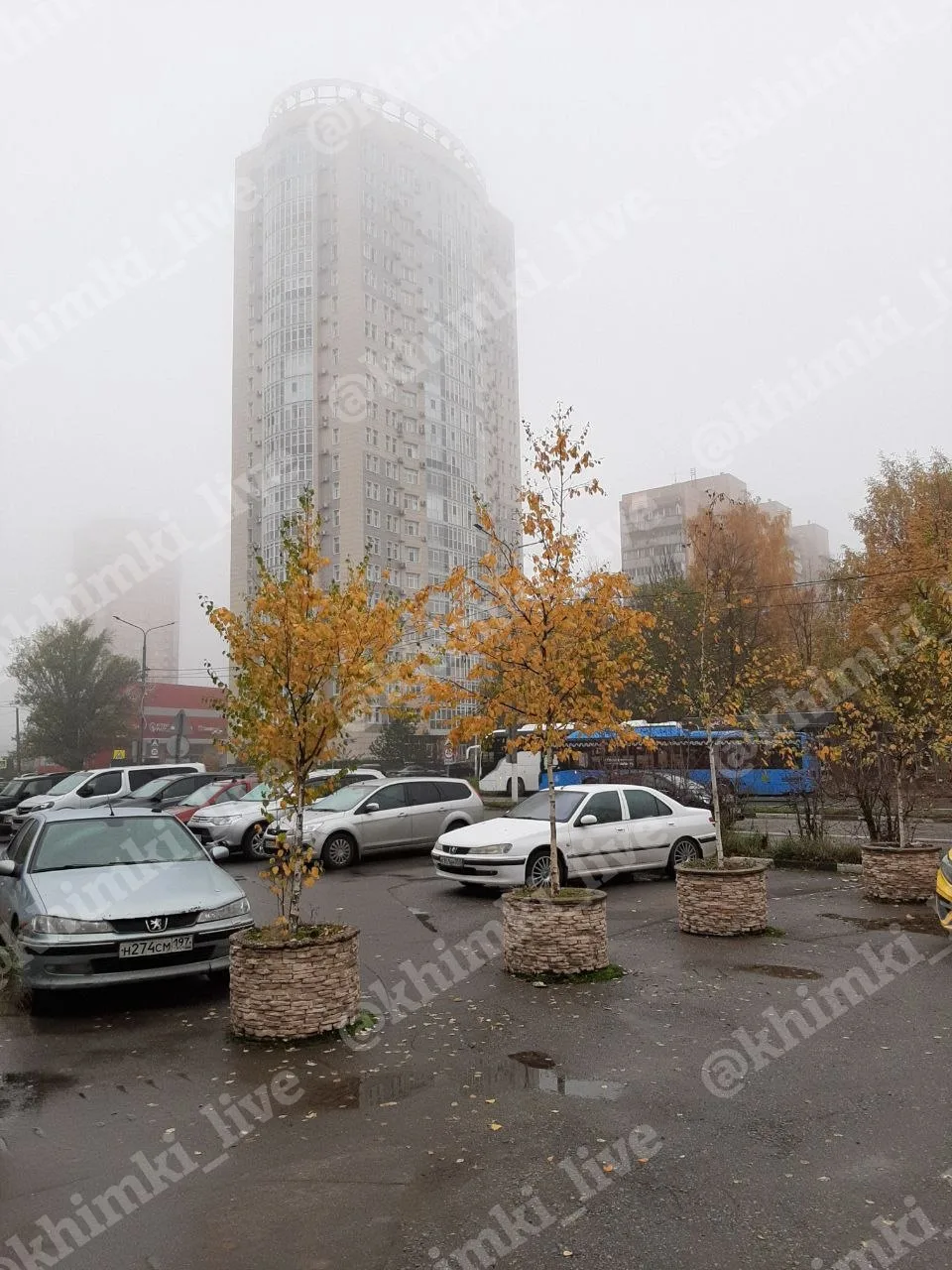 😶‍🌫️ Обещанный туман накрыл Химки утром.