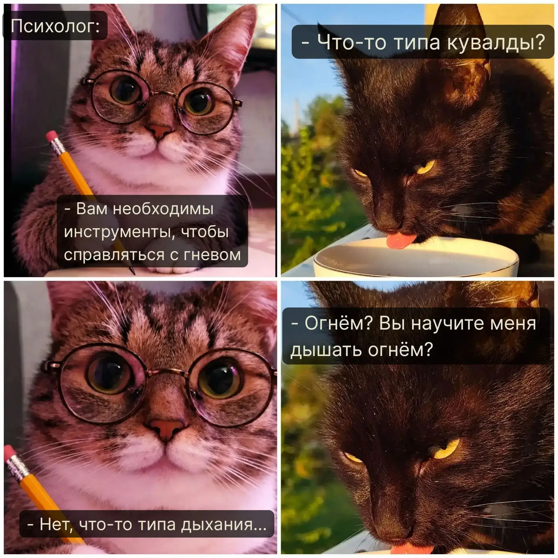Понедееееельник — день тяжёооооолый 👻 и рубрика #котомемы снова с нами 🫀🫵