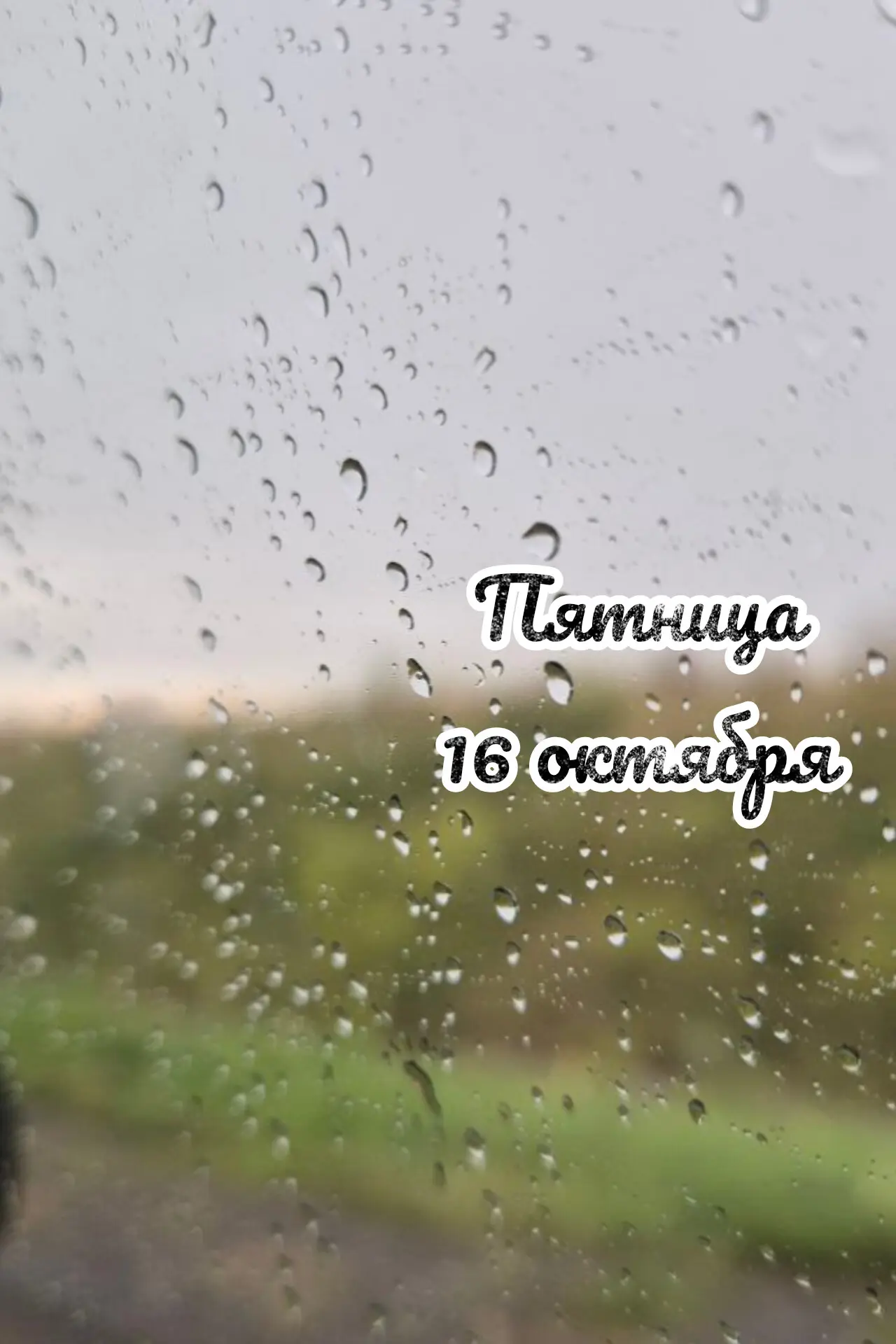 📅 Пятница, 16 октября: день очищения 🧹