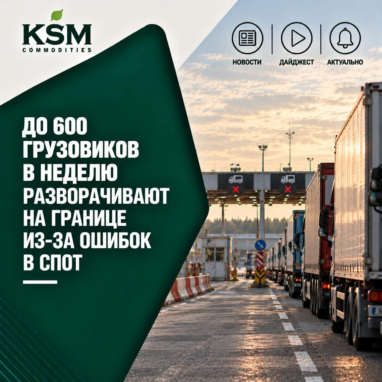 🚛 До 600 грузовиков в неделю разворачивают на границе из-за ошибок в СПОТ