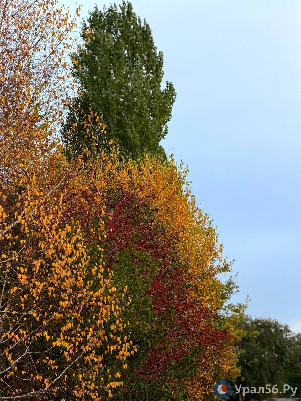 Осенний Орск 🍁
