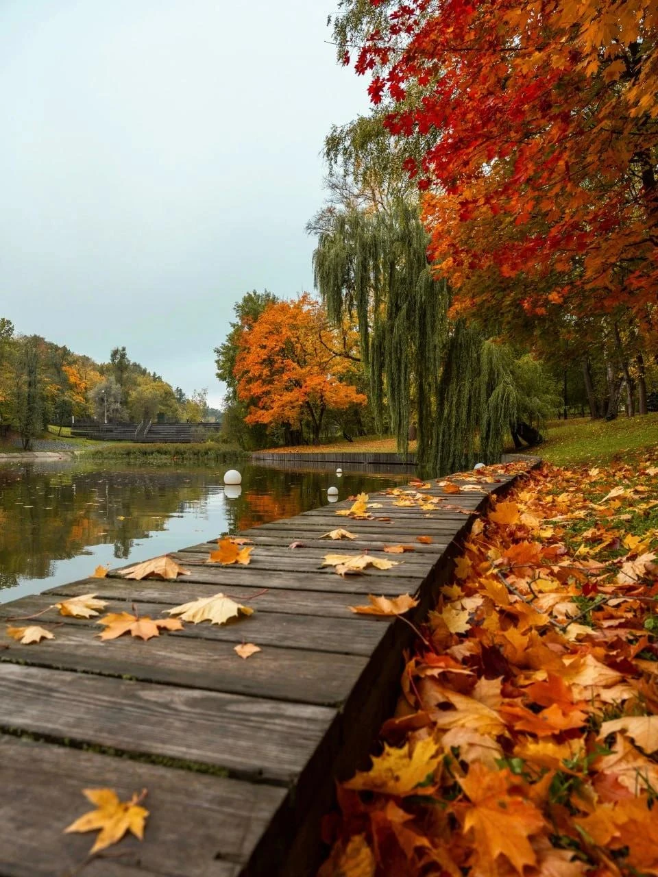 🍁 ЕСТЬ МЕСТА В РОССИИ, ГДЕ ОСЕНЬ ЯВНО ПОСТАРАЛАСЬ
