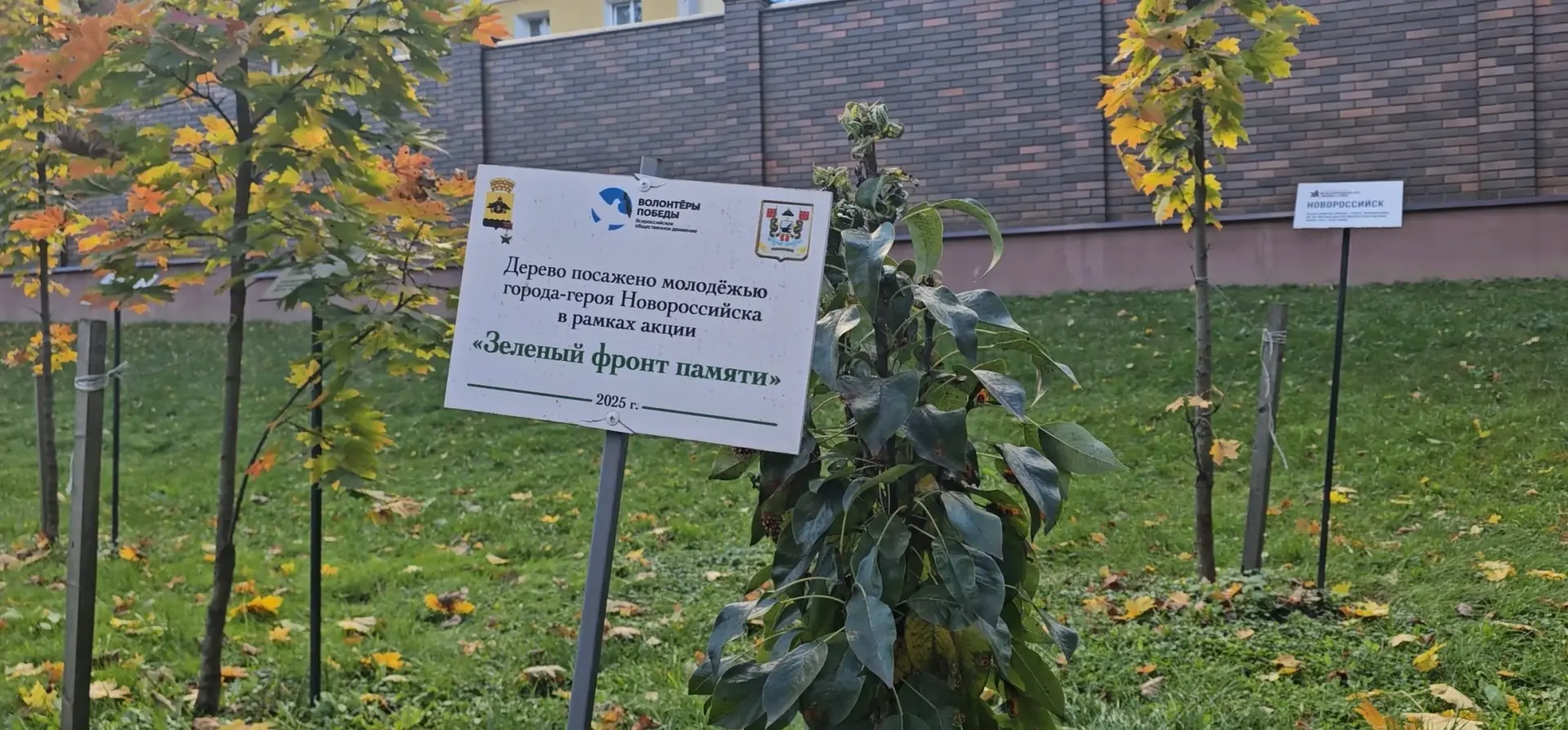 В Сквере Памяти Героев в Смоленске высадили 30 клёнов
