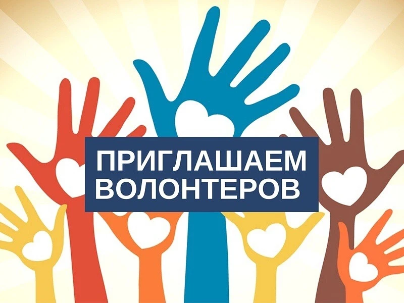 ❤️ Ищем волонтёров и помощников! ❤️