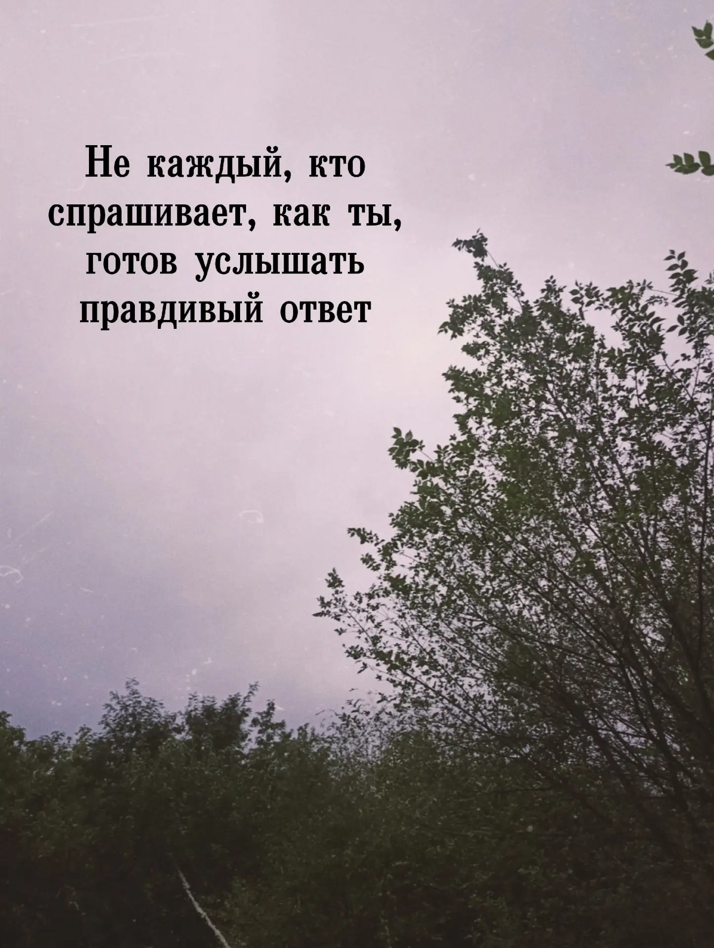 Иногда на вопрос «Как дела?» мы автоматически отвечаем «Всё нормально». Даже когда внут...