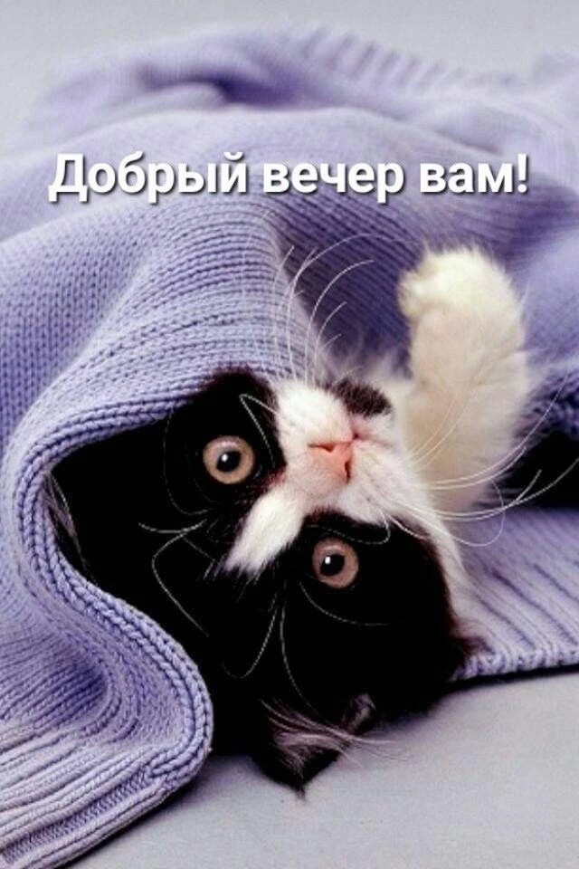 Наши каналы: