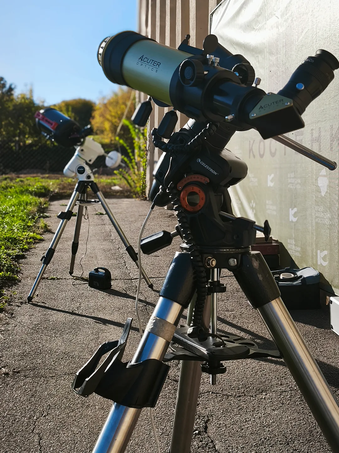 Обратили взор к Солнцу 🔭☀