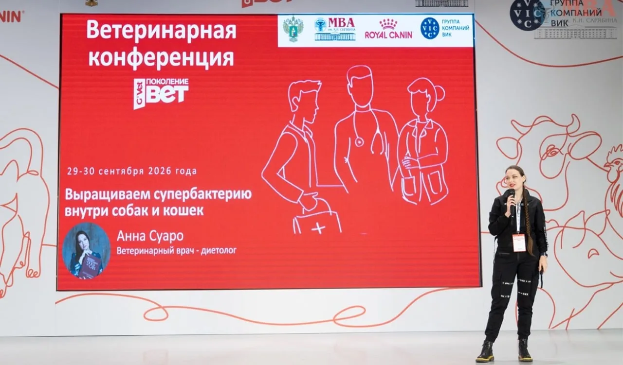 «Поколение ВЕТ» соединяет ветеринарное образование с практикой