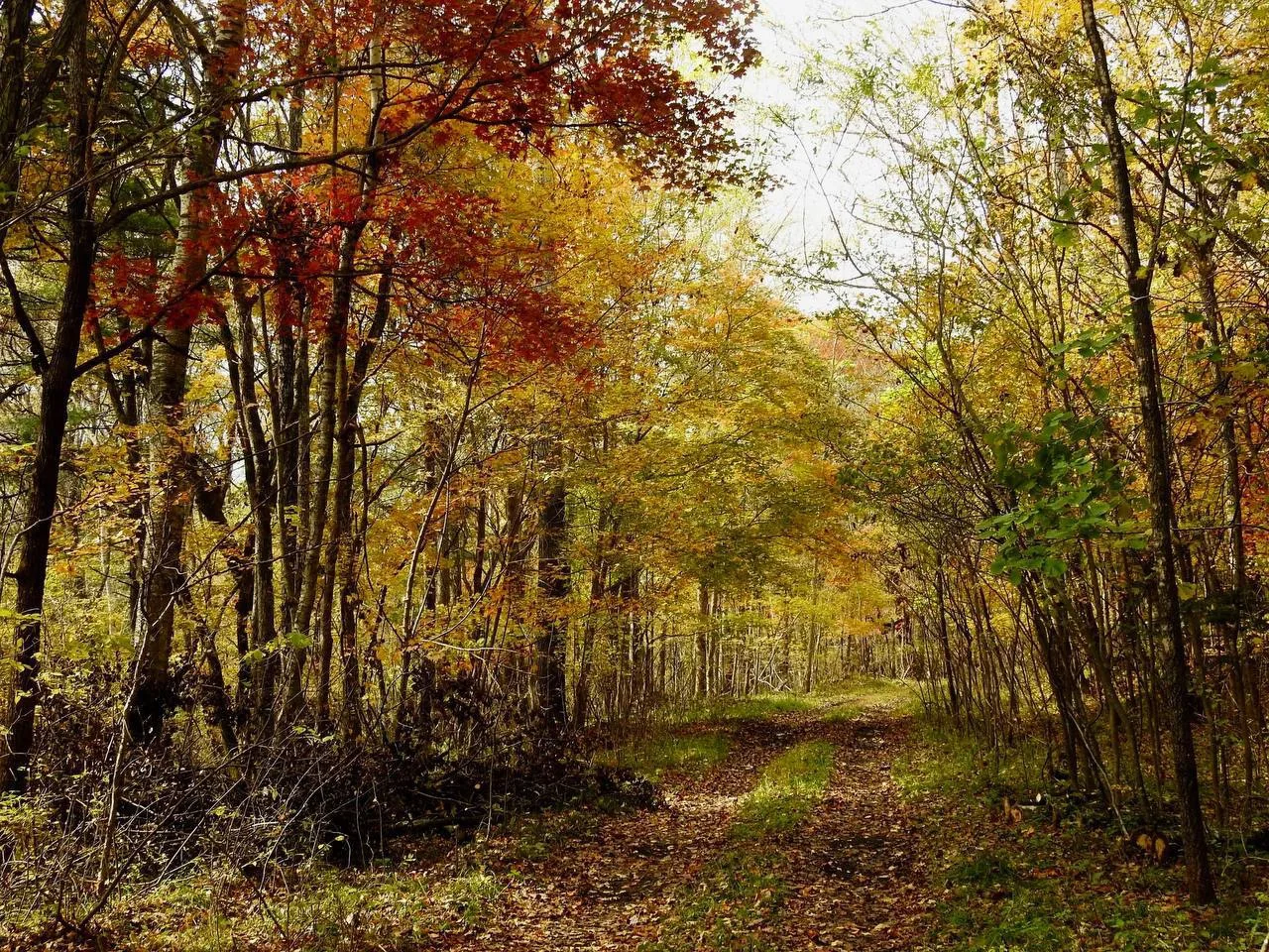 🍂 Просыпаемся вместе с осенним Приморьем