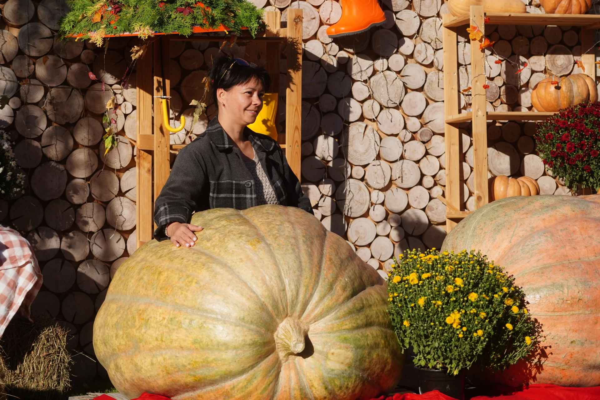 🎃 Два дня до финала